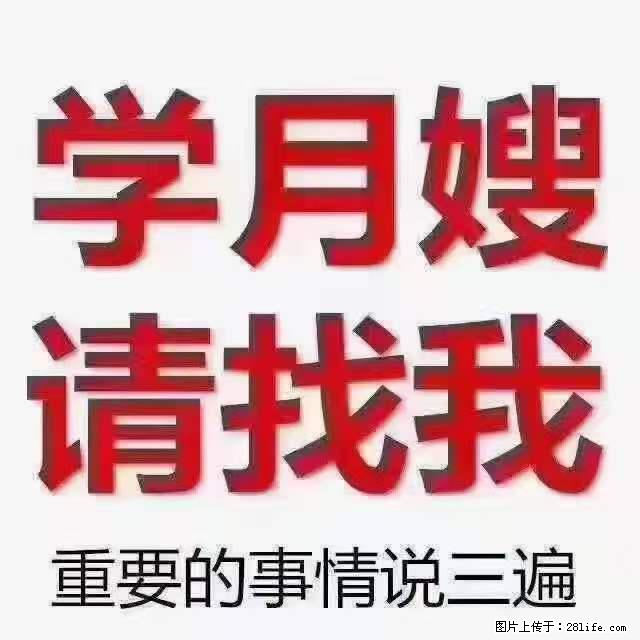 为什么要学习月嫂，育婴师？ - 其他广告 - 广告专区 - 荆门分类信息 - 荆门28生活网 jingmen.28life.net