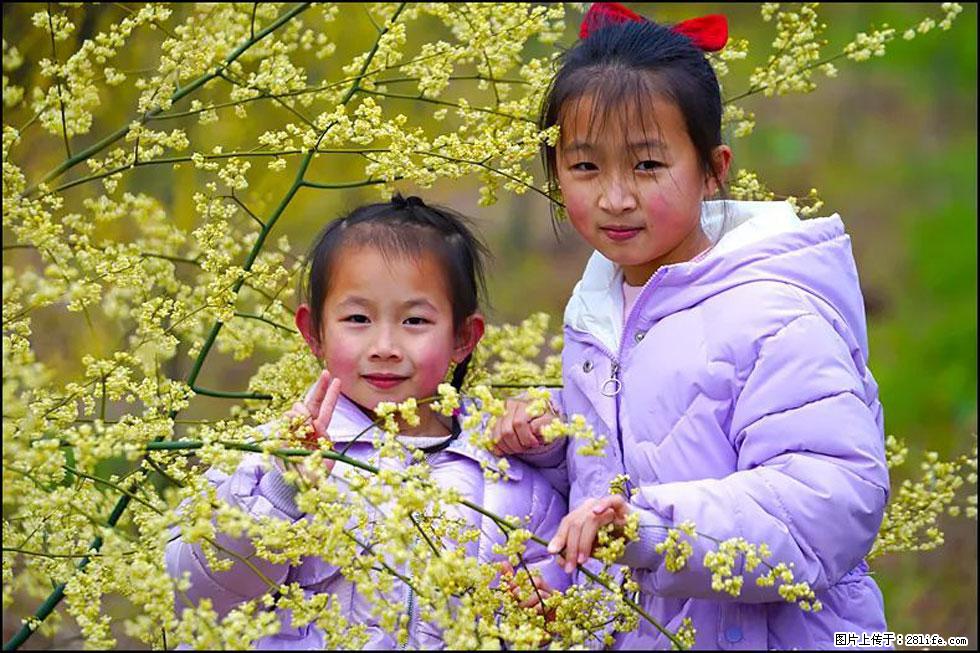 【春天，广西桂林灌阳县向您发出邀请！】米珠山前有片山苍子花在飘香 - 游山玩水 - 荆门生活社区 - 荆门28生活网 jingmen.28life.net