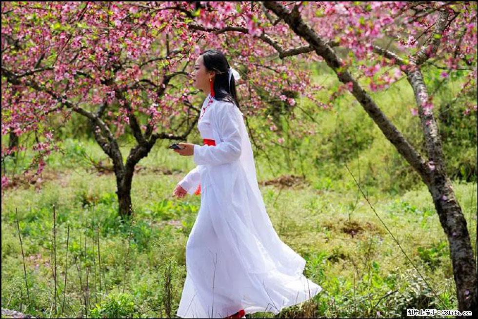 【春天，广西桂林灌阳县向您发出邀请！】官庄村有个醉美的桃花园 - 游山玩水 - 荆门生活社区 - 荆门28生活网 jingmen.28life.net