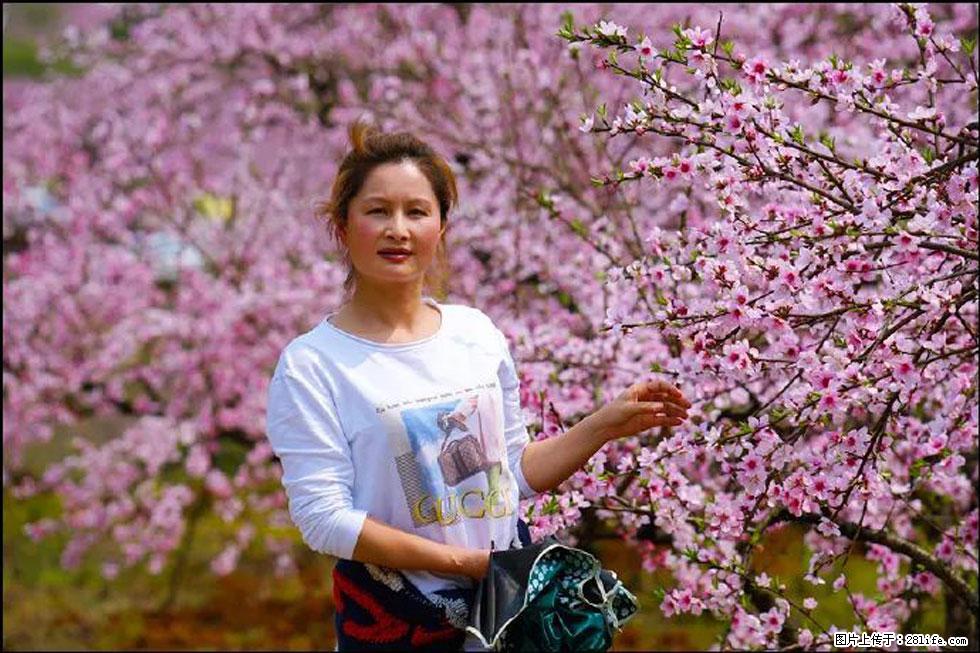 【春天，广西桂林灌阳县向您发出邀请！】官庄村有个醉美的桃花园 - 游山玩水 - 荆门生活社区 - 荆门28生活网 jingmen.28life.net