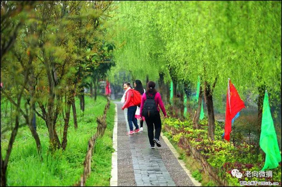 【春天，广西桂林灌阳县向您发出邀请！】江口老街又逢春 - 游山玩水 - 荆门生活社区 - 荆门28生活网 jingmen.28life.net