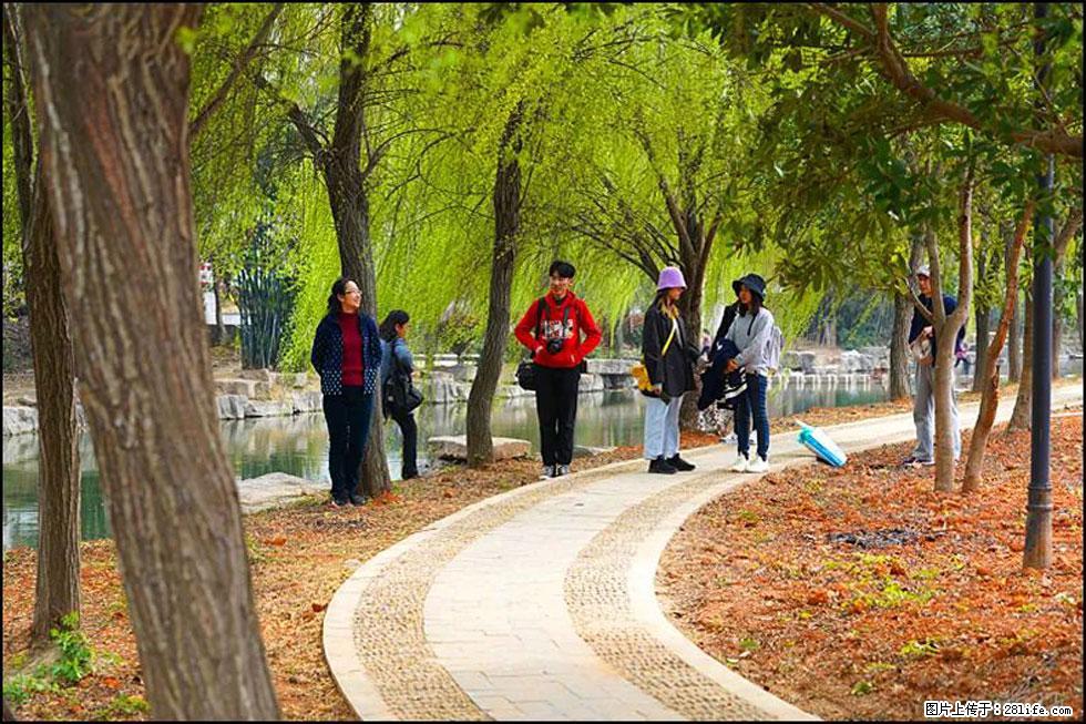 【春天，广西桂林灌阳县向您发出邀请！】江口老街又逢春 - 游山玩水 - 荆门生活社区 - 荆门28生活网 jingmen.28life.net