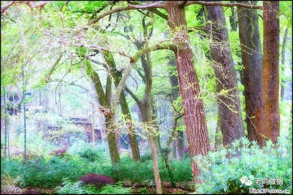 【春天，广西桂林灌阳县向您发出邀请！】在小龙村与春天约会 - 游山玩水 - 荆门生活社区 - 荆门28生活网 jingmen.28life.net