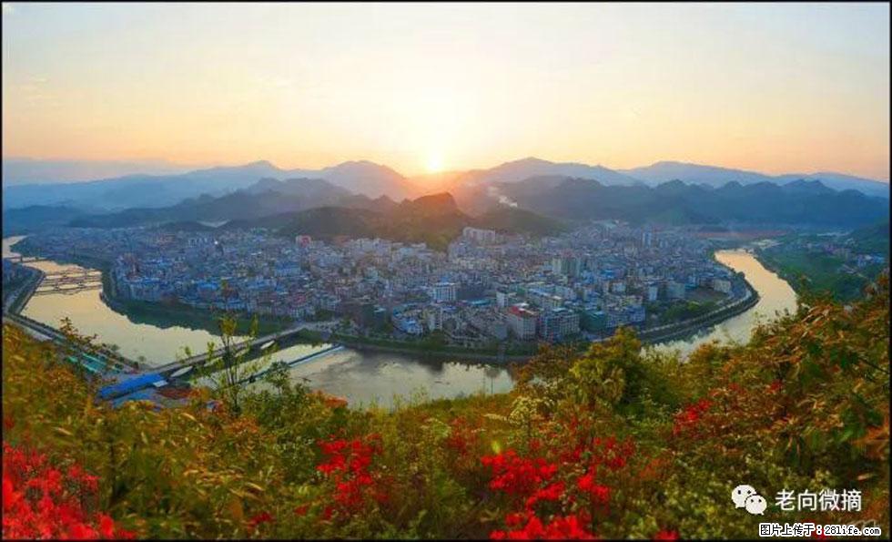 【春天，广西桂林灌阳县向您发出邀请！】登麒麟山，相约映山红 - 游山玩水 - 荆门生活社区 - 荆门28生活网 jingmen.28life.net