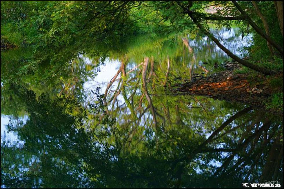 【春天，广西桂林灌阳县向您发出邀请！】熊家寨湿地公园 - 游山玩水 - 荆门生活社区 - 荆门28生活网 jingmen.28life.net