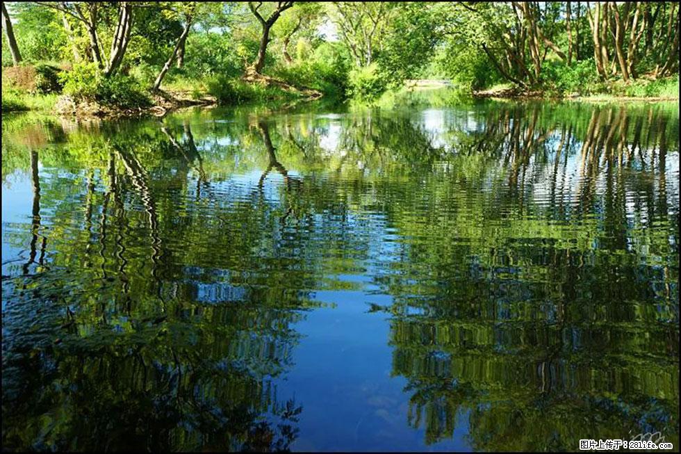 【春天，广西桂林灌阳县向您发出邀请！】熊家寨湿地公园 - 游山玩水 - 荆门生活社区 - 荆门28生活网 jingmen.28life.net