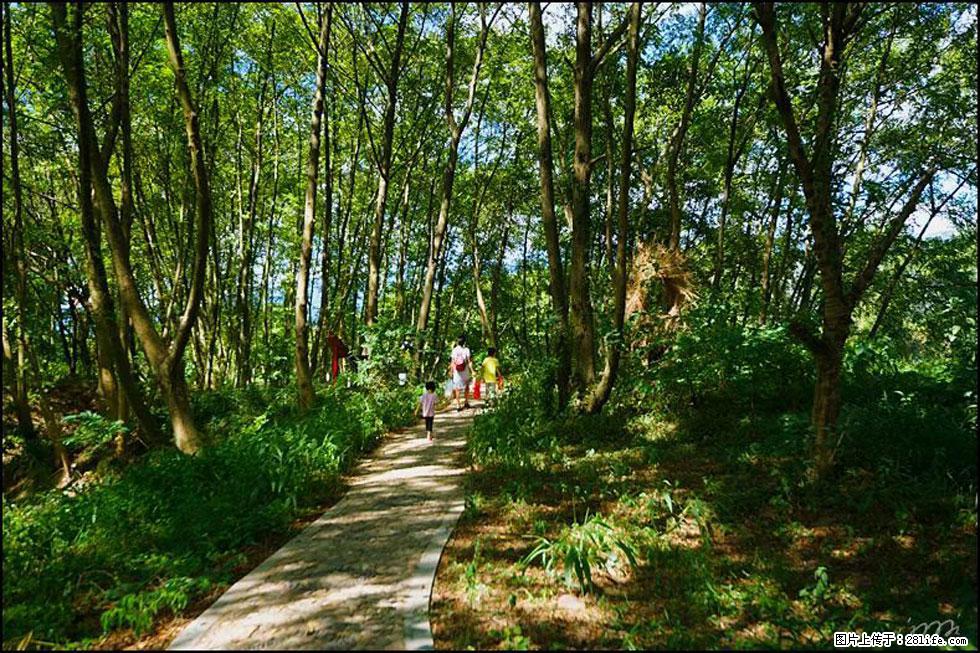 【春天，广西桂林灌阳县向您发出邀请！】熊家寨湿地公园 - 游山玩水 - 荆门生活社区 - 荆门28生活网 jingmen.28life.net