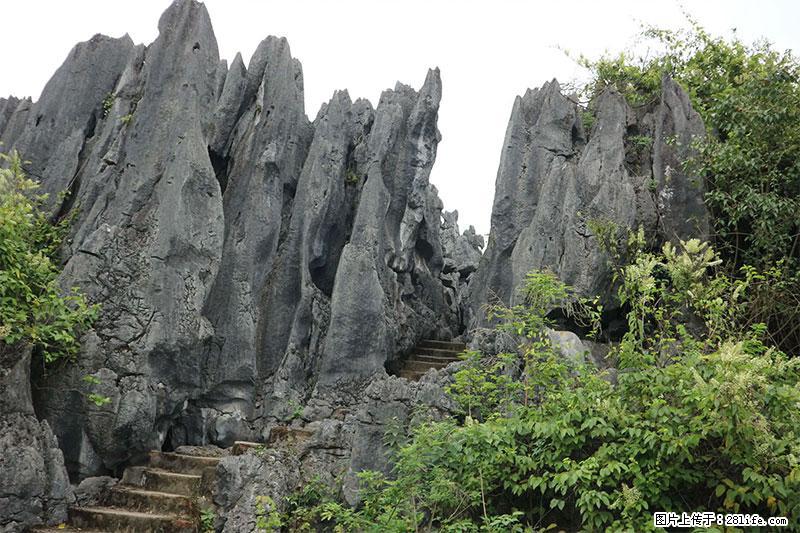 桂林旅游名城景点：灌阳文市石林 - 游山玩水 - 荆门生活社区 - 荆门28生活网 jingmen.28life.net