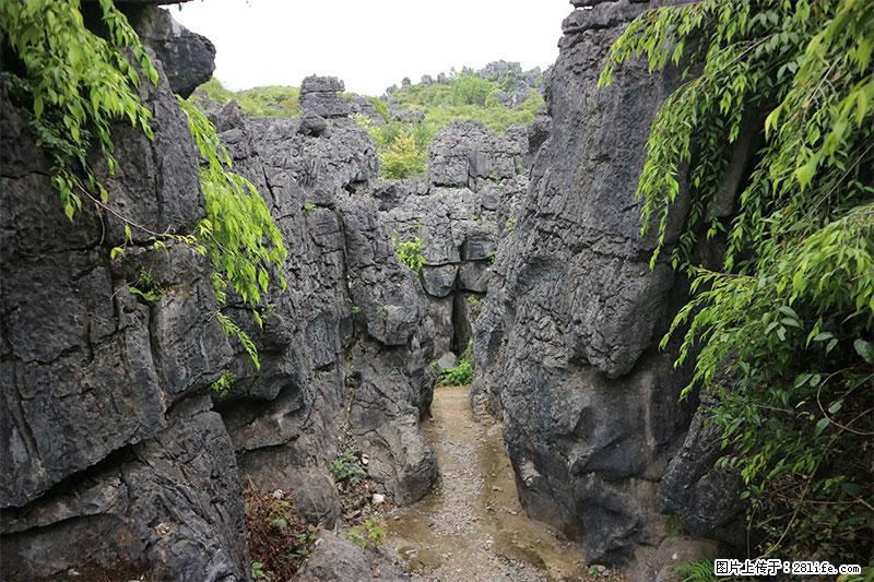 桂林旅游名城景点：灌阳文市石林 - 游山玩水 - 荆门生活社区 - 荆门28生活网 jingmen.28life.net