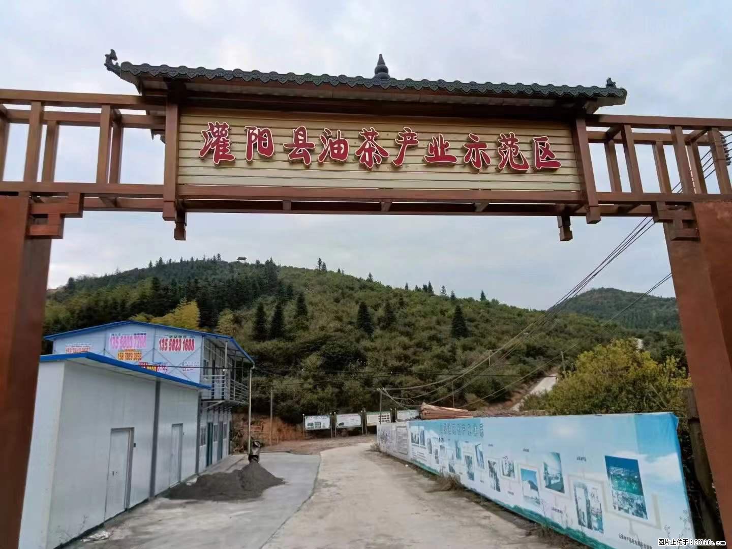 【灌阳县油茶产业示范区】一个有着充实的精神生活的人，对待身外之物自会有一种淡泊的态度 - 美食天地 - 荆门生活社区 - 荆门28生活网 jingmen.28life.net