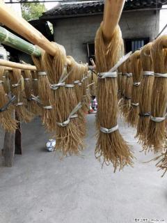 【灌阳正宗红薯粉】美女家里自己做的，干净卫生，假一赔十，价格合理，抢购电话：13737312895 - 荆门28生活网 jingmen.28life.net