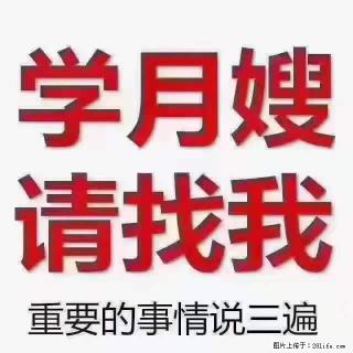 为什么要学习月嫂，育婴师？ - 荆门28生活网 jingmen.28life.net