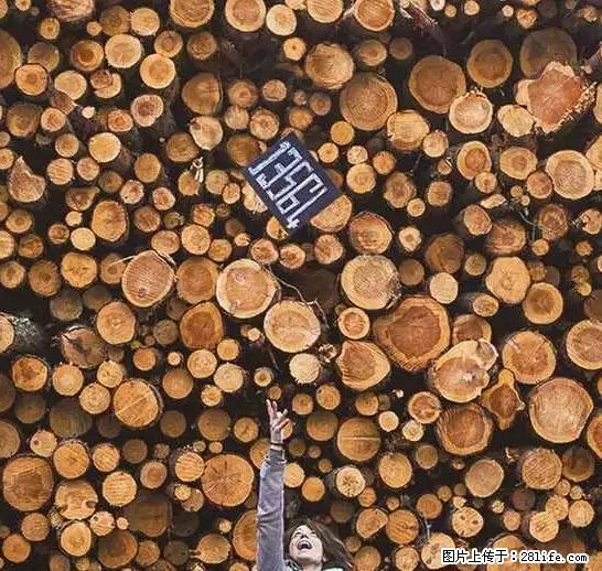 辞掉工作周游世界？现在他们在洗厕所…… - 游山玩水 - 荆门生活社区 - 荆门28生活网 jingmen.28life.net