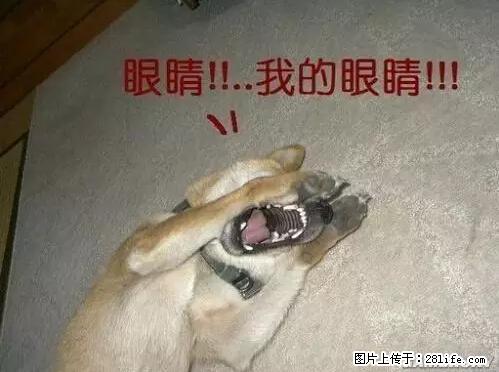 笑癫了！一女的怀孕三年未生，他终于忍不住了... - 娱乐八卦 - 荆门生活社区 - 荆门28生活网 jingmen.28life.net