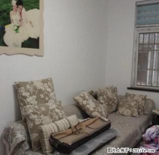 新城明珠对面王家岭广场有好房出租 - 荆门28生活网 jingmen.28life.net