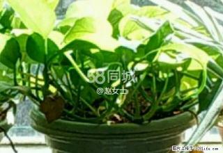 城市春天 2室2厅1卫 - 荆门28生活网 jingmen.28life.net