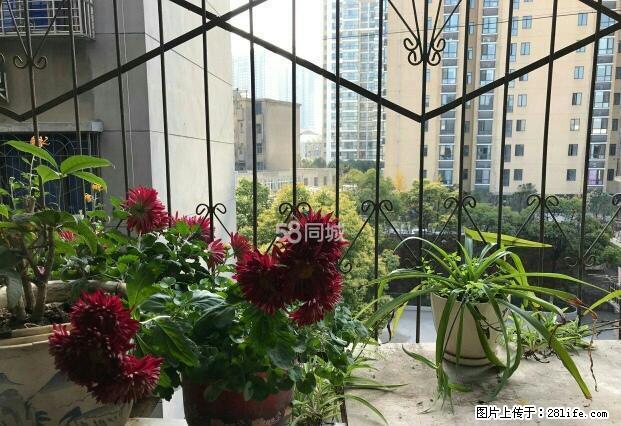 中天街附近工商街南熏门旁2房拎包入住 - 房屋出租 - 房屋租售 - 荆门分类信息 - 荆门28生活网 jingmen.28life.net