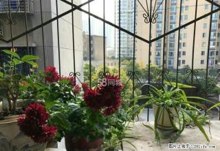 中天街附近工商街南熏门旁2房拎包入住 - 荆门28生活网 jingmen.28life.net