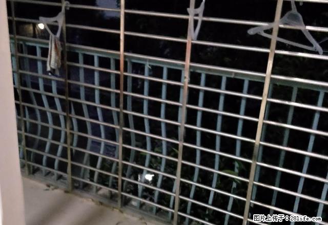 碧桂园花园洋房3房2厅2卫家具家电齐全拎包入住 - 房屋出租 - 房屋租售 - 荆门分类信息 - 荆门28生活网 jingmen.28life.net