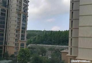 半山豪苑3房2厅2卫家具家电齐全 - 荆门28生活网 jingmen.28life.net
