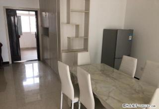 石化家苑精装带家电出租 - 荆门28生活网 jingmen.28life.net