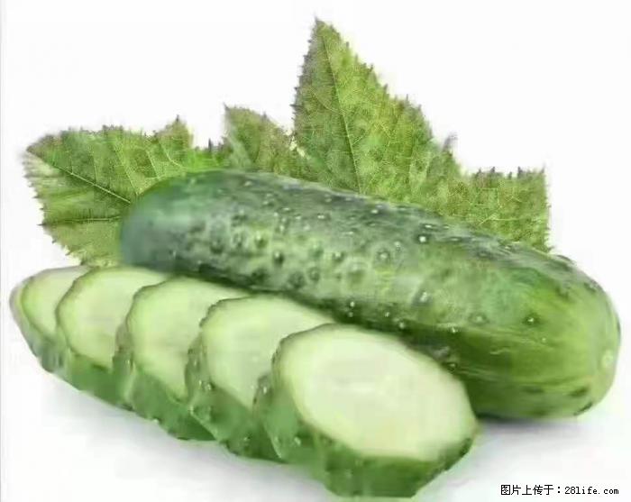 【生活小常识】吃黄瓜的好处 - 生活百科 - 荆门生活社区 - 荆门28生活网 jingmen.28life.net