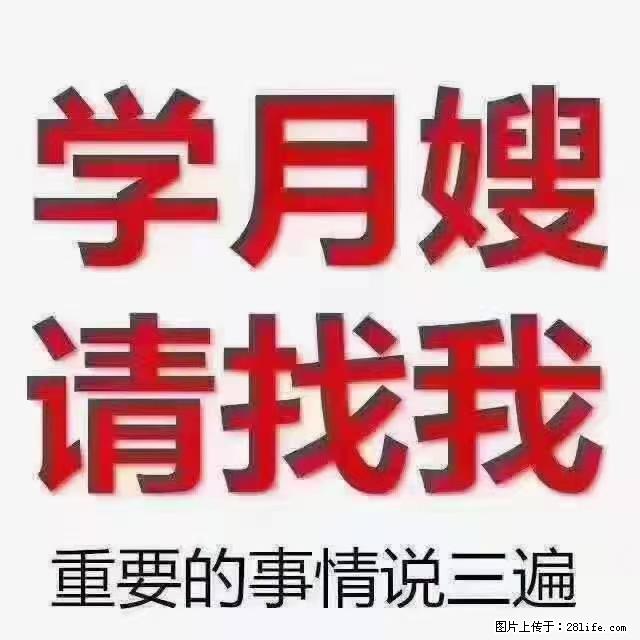 【招聘】月嫂，上海徐汇区 - 职场交流 - 荆门生活社区 - 荆门28生活网 jingmen.28life.net