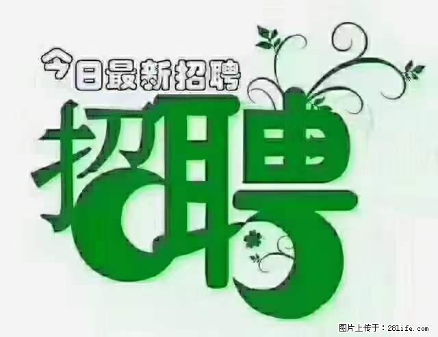 上海青浦区招仓管 - 职场交流 - 荆门生活社区 - 荆门28生活网 jingmen.28life.net