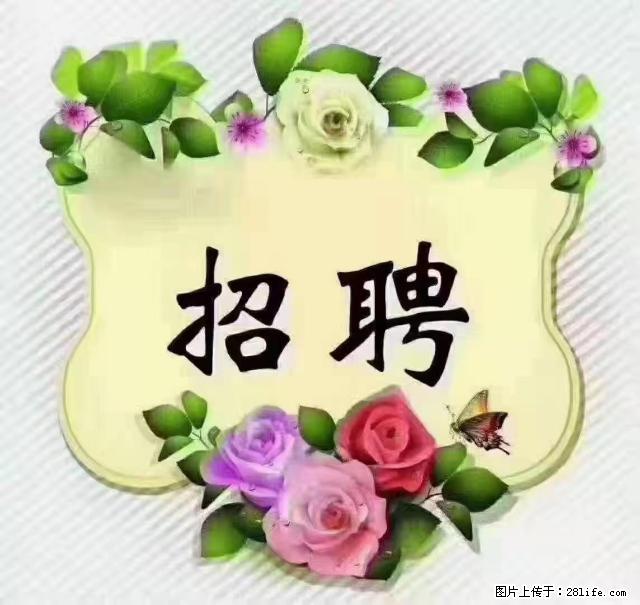 【招聘】住家育儿嫂，上户日期：4月4日，工作地址：上海 黄浦区 - 职场交流 - 荆门生活社区 - 荆门28生活网 jingmen.28life.net