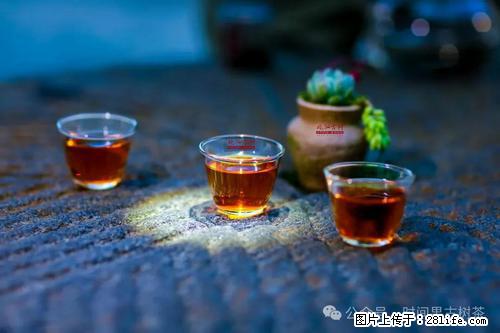 时间果百年古树2025年春红茶 - 购物交流 - 荆门生活社区 - 荆门28生活网 jingmen.28life.net