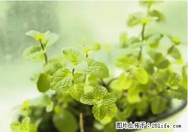 晕车、脚气、牙齿变黄、皮肤粗糙？学会这些三分钟搞定！ - 荆门生活资讯 - 荆门28生活网 jingmen.28life.net