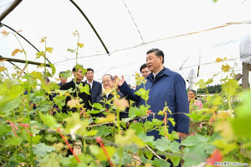 习近平赴广西考察调研 - 荆门生活资讯 - 荆门28生活网 jingmen.28life.net