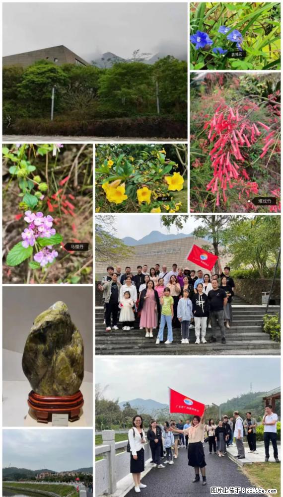 “粤灌文化 美好生活”油茶文化主题活动在广东深圳成功举办 - 荆门生活资讯 - 荆门28生活网 jingmen.28life.net