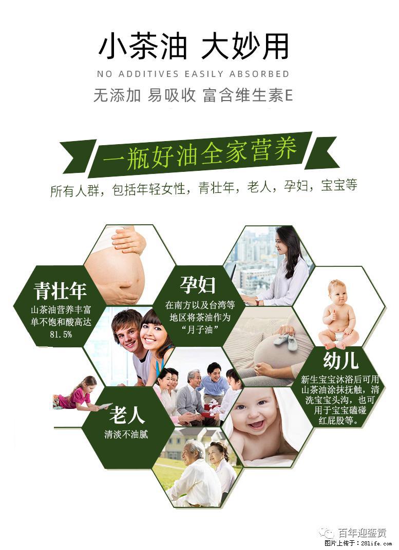 世界没有真相，只有认知，最好的食用油是中国的山茶油！ - 荆门生活资讯 - 荆门28生活网 jingmen.28life.net