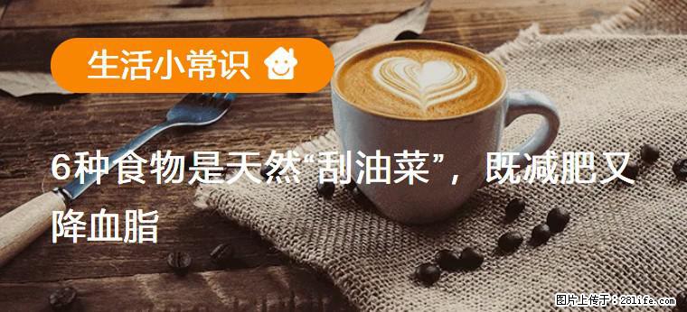 【生活小常识】6种食物是天然“刮油菜”，既减肥又降血脂 - 荆门生活资讯 - 荆门28生活网 jingmen.28life.net