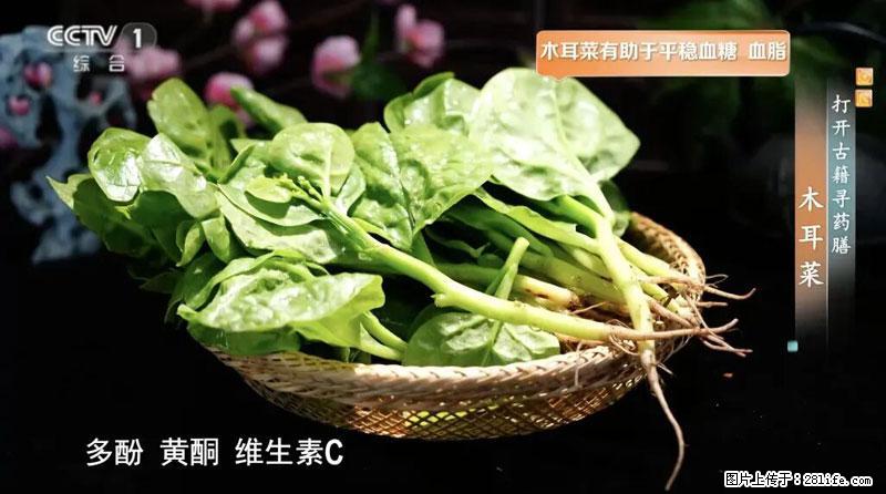 比牛奶补钙还厉害！凉血解毒、稳血糖...这菜冬天必吃，很多人却当草 - 荆门生活资讯 - 荆门28生活网 jingmen.28life.net