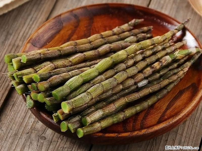 铁皮石斛的作用与功能主治 - 荆门生活资讯 - 荆门28生活网 jingmen.28life.net
